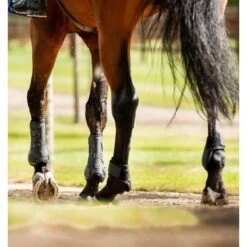 Horseware Classic Fetlock Boots - Black/Black -Tack Of The Day Store 965074 800 800