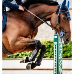 Horseware Classic Tendon Boots - Black/Black -Tack Of The Day Store 965083 800 800