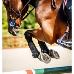 Horseware Classic Tendon Boots - Black/Black -Tack Of The Day Store 965084 800 800