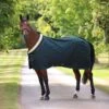 Shires Deluxe Stable Sheet - Green