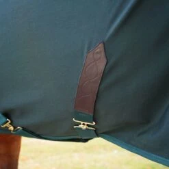 Shires Deluxe Stable Sheet - Green 8 Shires Deluxe Stable Sheet - Green -Tack Of The Day Store 965998 800 800