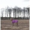 TuffRider 1200D Ripstop Foal Adjustable Turnout Blanket - Purple