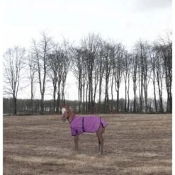 TuffRider 1200D Ripstop Foal Adjustable Turnout Blanket - Purple