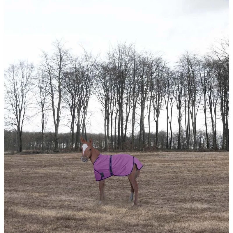 TuffRider 1200D Ripstop Foal Adjustable Turnout Blanket - Purple 1 TuffRider 1200D Ripstop Foal Adjustable Turnout Blanket - Purple