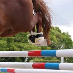 Shires ARMA OXI-ZONE Supafleece Fetlock Boot - Brown 13 Shires ARMA OXI-ZONE Supafleece Fetlock Boot - Brown -Tack Of The Day Store 982585 800 800