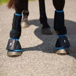 Equinavia Sval Cool Tendon Boots - Black -Tack Of The Day Store 989778 800 800