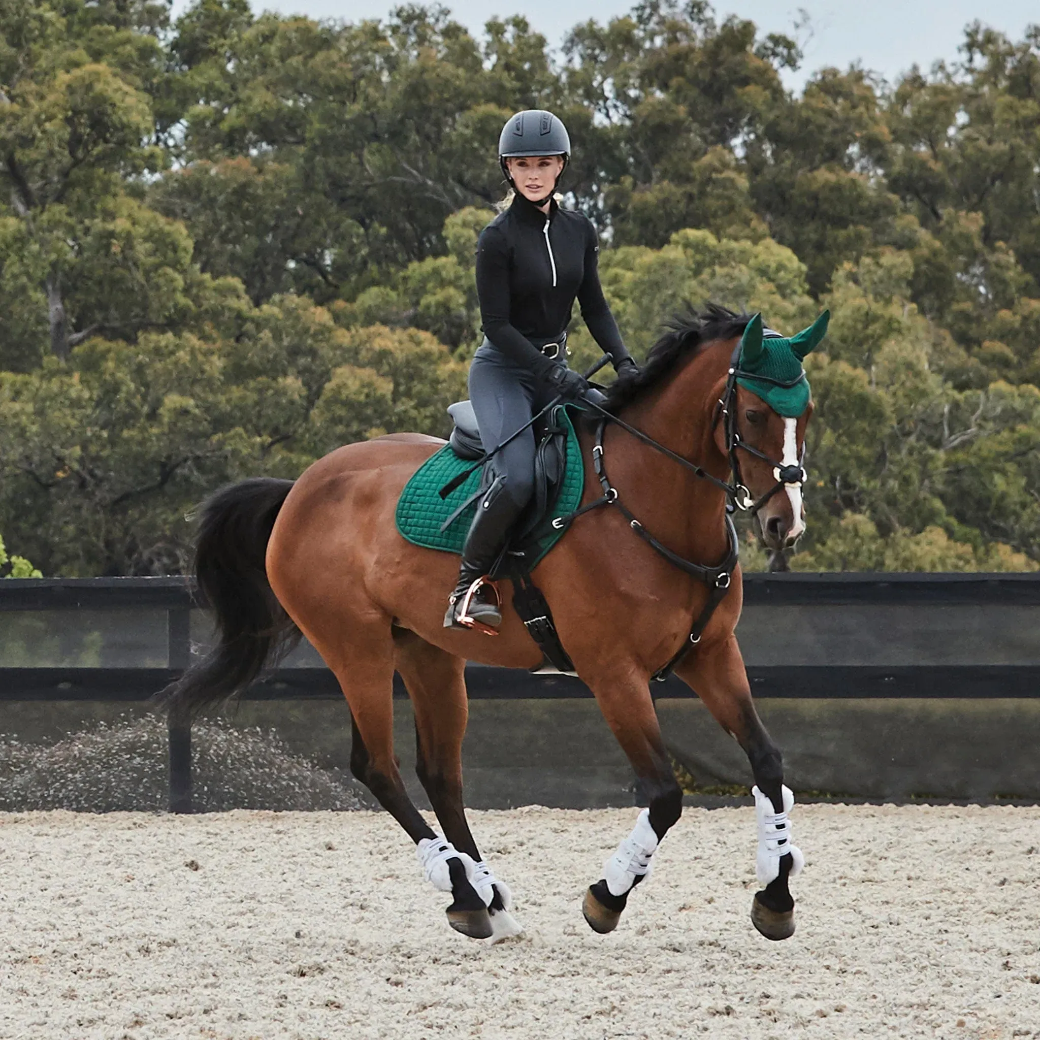 Tack Of The Day Store -Tack Of The Day Store womens tops top image